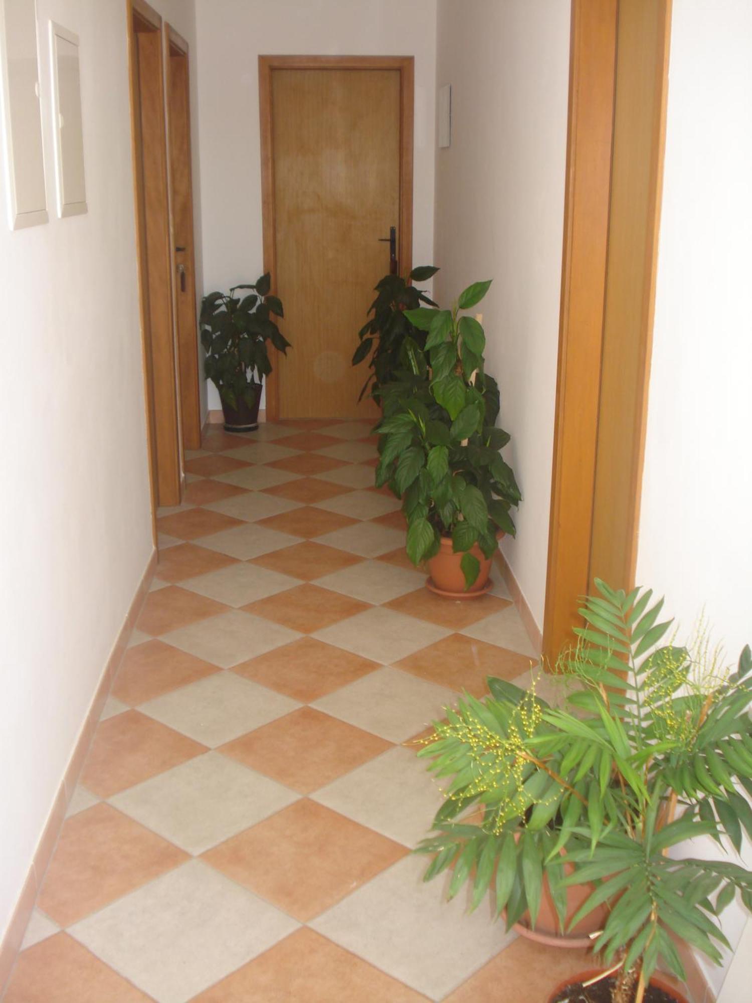 Apartments San Giorgio Sućuraj Kültér fotó